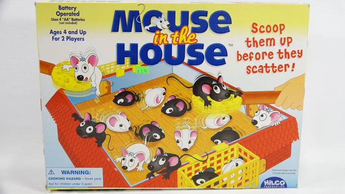 Mouse in the House