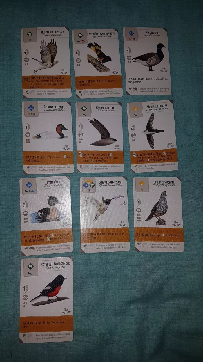 Flügelschlag: Promopack